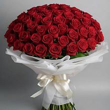 Букет 101 Красная роза Блэк Мэджик в Екатериноградской