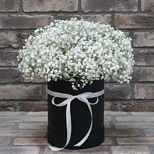 Цветочная композиция из Гипсофила в шляпной коробке в Екатериноградской